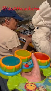 Dance party! 🎉 #cockatoo #dancing #music #parrot | Chris the Cockatoo