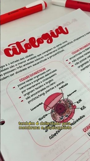 Célula eucariotica x procariótica, saiba diferenciar !