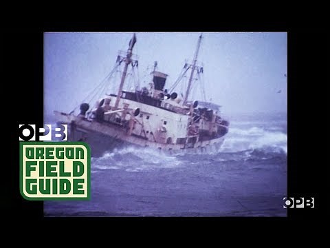 Savior Of Sinking Ships: The Salvage Chief
