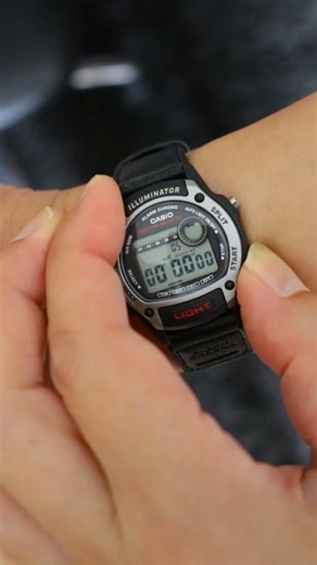 This compact Casio is a hidden gem - W220