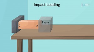 ビデオ: 衝撃荷重