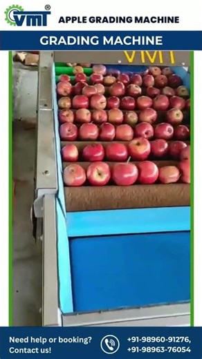 🍎 Smart Apple Grading for Modern Agriculture