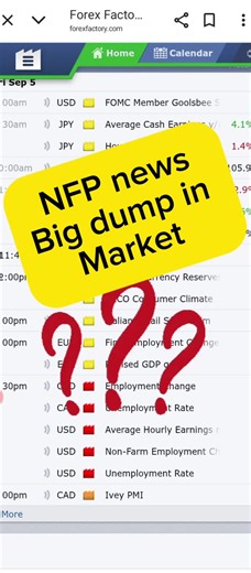big dump in market #educationalpurposes #earningmethodtiktok #onlinebusiness #justiceforvictoms #profitable blockchain