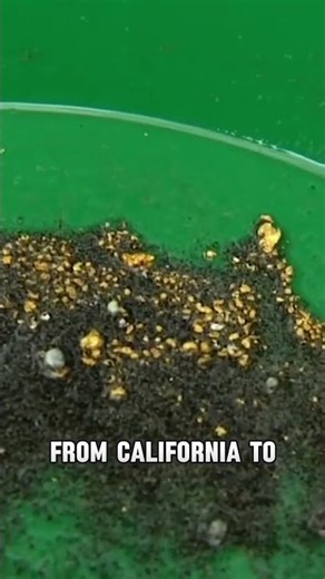 Unlock Gold Treasures: GPAA Mining Guide – Your X Marks the Spot!