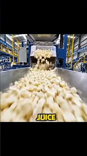 How Sugar Is Actually Made