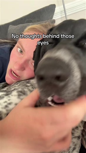 Smokey & Bandit on TikTok