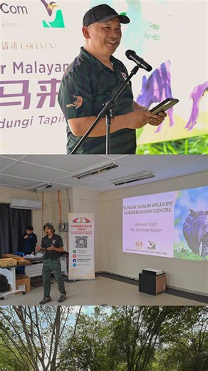 65 reactions · 16 comments | BEST Inc. Malaysia Attends and Sponsors the “Protect Malayan Tapir” Tree Planting Charity Event. Through this event, we're not only demonstrated its commitment to environmental protection but also further showcased its active role in fulfilling social responsibilities in Malaysia and fostering a harmonious community. ❤️ #BESTIncMalaysia #BESTExpressMalaysia #BESTCargoMalaysia #HandledByTheBest | BEST Express Malaysia | Facebook