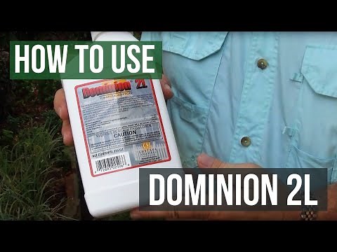 Dominion 2L Insecticide Termiticide: How to Control Aphids and White Fly