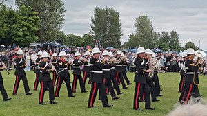 Armed Forces Day - 2024 | Northern Ireland Online