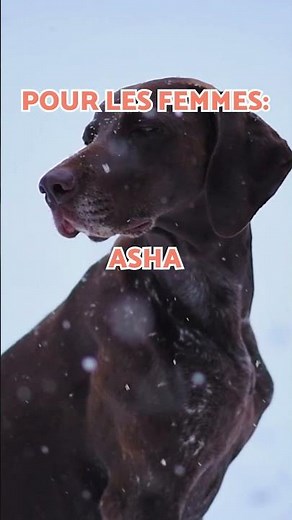 The BEST DOG NAMES for 2026 👉🏻🐶🌟 #DogNames #SHORTS