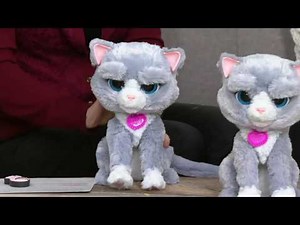 FurReal Friends Bootsie the Cat By: Hasbro on QVC