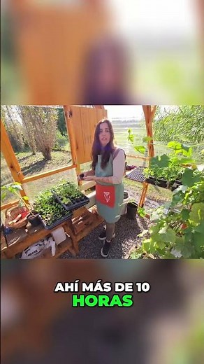 ¡Cultiva Mejor! Secretos de Jardinería Que Nadie Te Cuenta 🌱