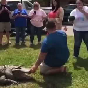 6.5K views · 56 reactions | Port Charlotte, FL — How they do a gender reveal in Florida. | Only in South Florida | Facebook
