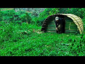 Building a warm and cozy bushcraft shelter. Solo camping . Survival shelter