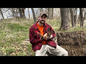 How to pick the BEST design for a self-bow | Traditional Bow Making