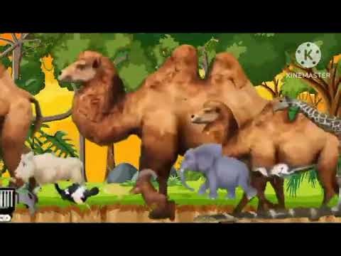 Animal stampede crossover 🙊 | animal race | animal | Back to cartoon 🙋