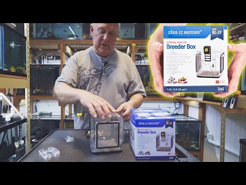 How to Use the Ziss Breeder Box | Aquarium Co-Op