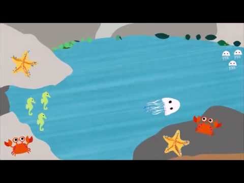 New Tiger 3 - Unit 6 - Tiger Street Club Sea Life