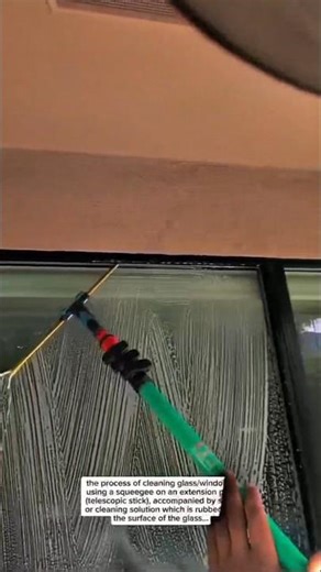 “Professional Window Cleaning with Water-Fed Pole | Satisfying Glass Restoration”