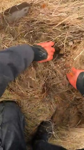 😍Coolest sound ever | Metal Detecting