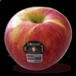 Lady Alice Apple Review - Apple Rankings by The Appleist Brian Frange