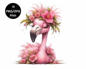 Flamingo Clip Art 11 High Res Watercolour PNG/JPG Junk Journal Scrapbooking Card Making Digital Download Quirky Birds Funny Birds Ephemera - Etsy