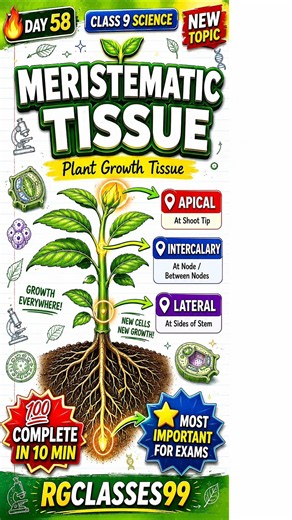 Day 58/300 🌿Plant Tissues | Meristematic & Permanent Tissues | Class 9 Science Chapter 3 | CBSE 2026