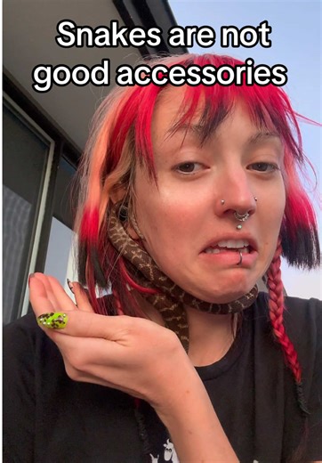 Understanding Stimson Pythons: The Danger of Snakes