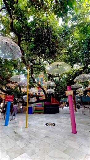 MA SADHI ❤️🌍 Sadhi ma new aalap status #shortvideo #ytshorts