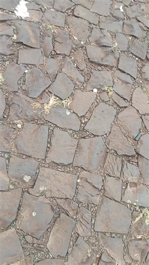 venezolanos por el mundo brasil st catarina chapeco el pavito