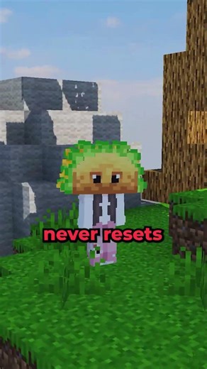 They will help you make it BIGGER #minecraft #minecraftserver #smp
