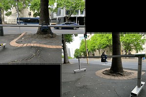 Innovation - The Tree Consultancy