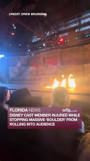 WFLA News Channel 8 on Instagram: ""HE LITERALLY SAVED OUR LIVES": A Disney cast member is being praised as a hero after he was injured while stopping a runaway prop boulder from rolling into the audience during a live stunt show in Florida. Read the full story in the link in our bio."