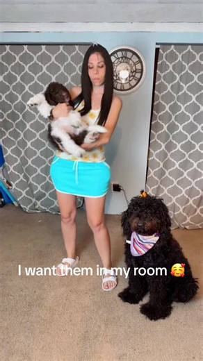 #dogtok #fyp @Kali | the chocolate doodle🌺 #dogs