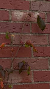 Box of Rocks - Box of Rocks 9