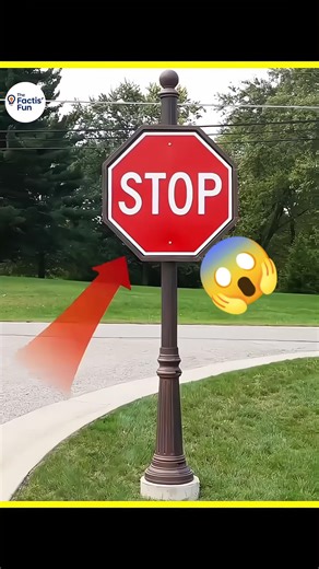 99% log ye Traffic Signs galat samajhte hain! 🤔🚦#shorts