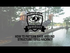 How To Pattern Bass Around Structure | Summer Bass Fishing