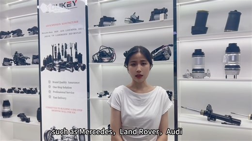 Air Suspension Shock Absorber Air Compressor2133200104 A0993200004 for Mercedes- Benz E-Class W213 Mercedes- Benz C-Class W205