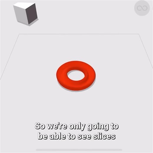 This is what a real 4D Klein bottle looks like! #kleinbottle #topology #science #educational #experiment #fblifestyle #reels | The Action Lab