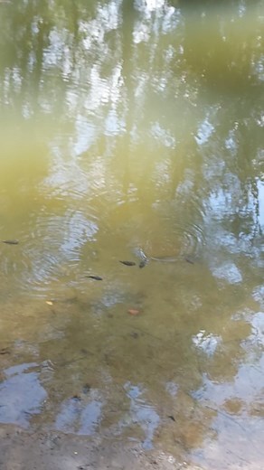 3.2K views · 14 reactions | The chatter box. #chatterbox #enjoy #enjoythemoment | Miss Bossy | Facebook