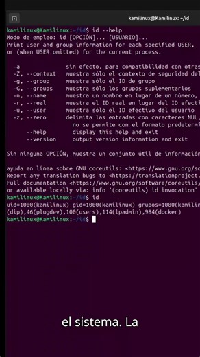 Comando id: Gestión de usuarios en Linux #linux #devops #shorts