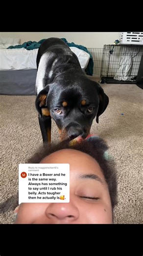 1.6K views · 22 reactions | Reply to I want to have his breed debate  #CorollaC... | Horace Owens | Facebook