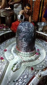 524K views · 10K reactions | #SomaPradoshVrat Shri Mahakaleshwar Jyotirling Panchamrut Abhishekam and Darshan @ Ujjain, Madhya Pradesh  || Har Har Mahadev || Video Credits : Shree Mahakaleshwar Ujjain Temple Trust #TempleConnect #Mahakaal #Mahakaleshwar #Ujjain #MadhyaPradesh #Jyorirling #Mahadev #HinduTemple #Hinduism www.templeconnect.com Your Devotional Connect Online. | Temple Connect | Facebook