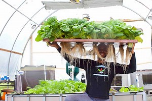 Dude, You're Missing Out... There has NEVER in the history of mankind been an EASIER time for people to like you and me to produce our OWN food UNTIL NOW! Technology is on the side of those that want GET MORE and DO LESS. Efficiency is creating a world of change that has never been witnessed since the beginning of human existence. There was a point in time where the only means of TRANSPORTATION for humans was using our FEET. Then we created CARS and PLANES which allowed us to get to our destinat