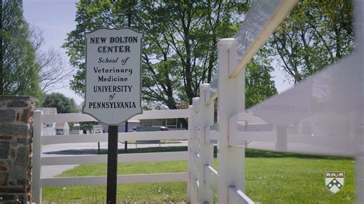 5.9K views · 92 reactions | As part of the Pennsylvania Animal...