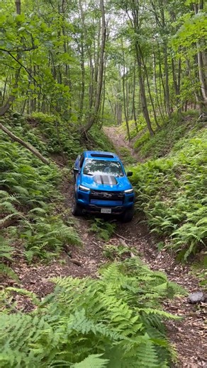 Off Road Consulting and Driving Instruction on Reels