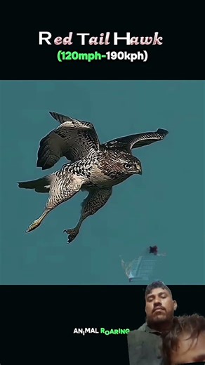 baj ki nigahen#trendingshorts #best# dangerous#