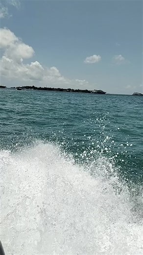 shakeeb hassan on TikTok