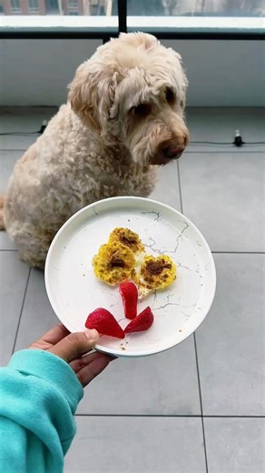 2 Minute Healthy Dog Snack You NEED to Try