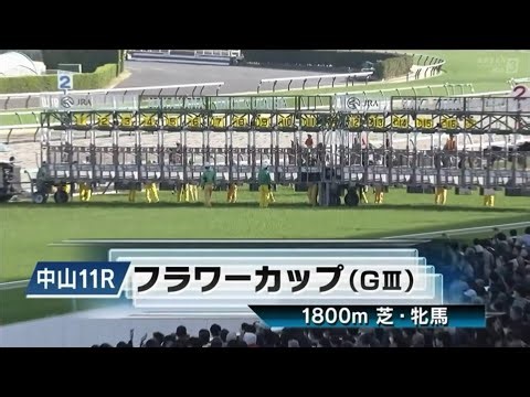 中山11R 第40回フラワーカップ（GⅢ）